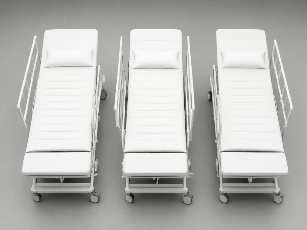 Wholesale 2 Function Electric Medical Nursing Beds With Wheels Supplier